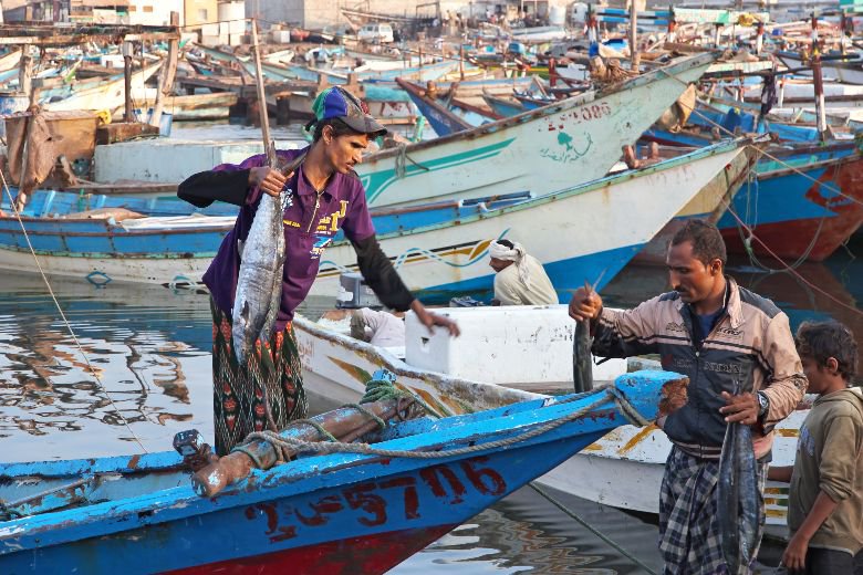 45 مليون دولار من البنك الدولي لدعم القطاع السمكي في اليمن 