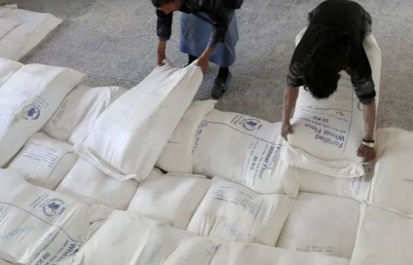 وصول 24 ألف طن من القمح تابعة لبرنامج الغذاء العالمي إلى عدن