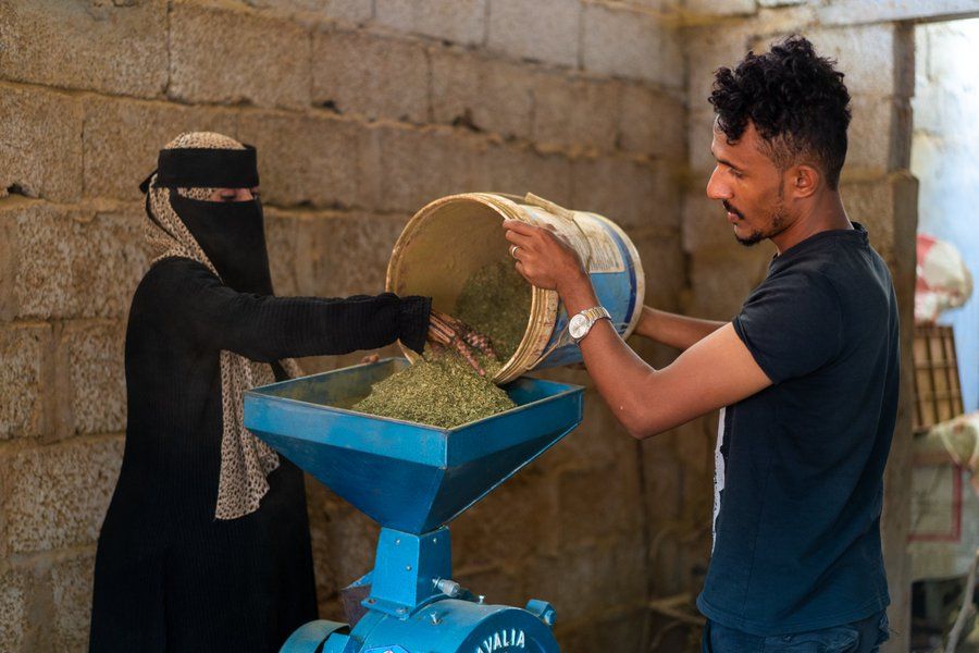 UNDP Supports 750 Yemenis with Small Business Grants