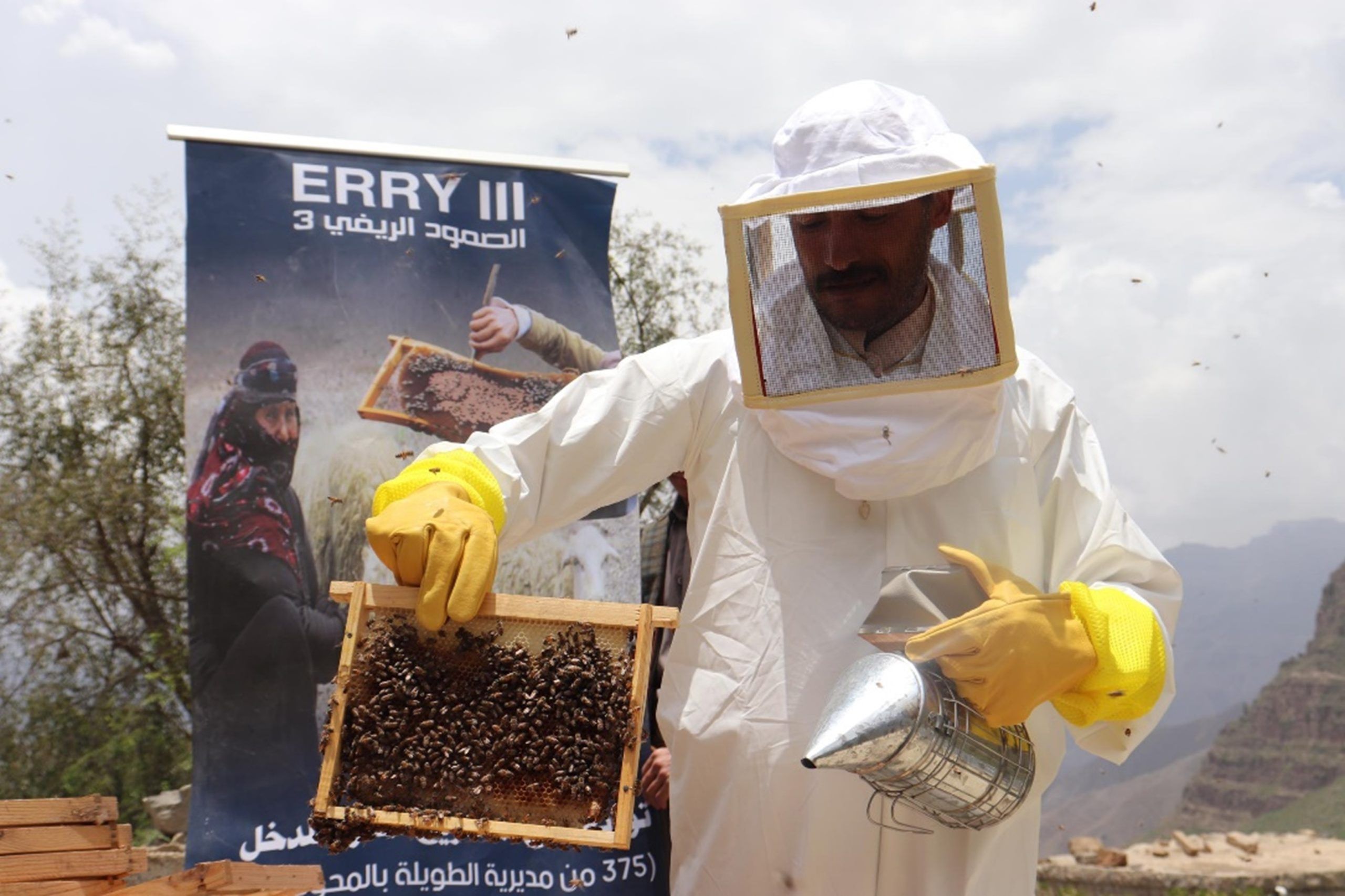 Supporting 397 Yemeni Beekeepers Technically and Financially